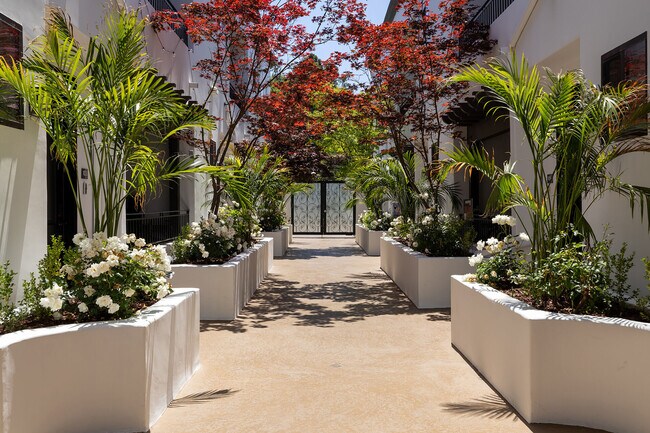 Vista Paradiso