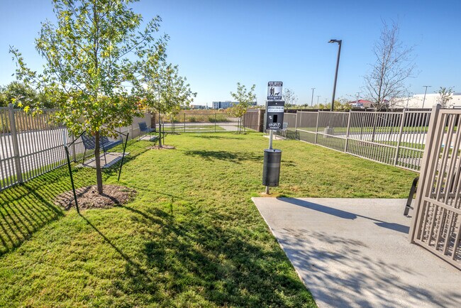 Dog Park