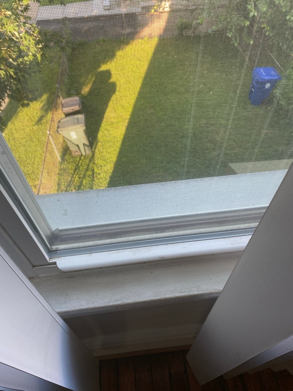 Photo - 3120 Windsor Ave