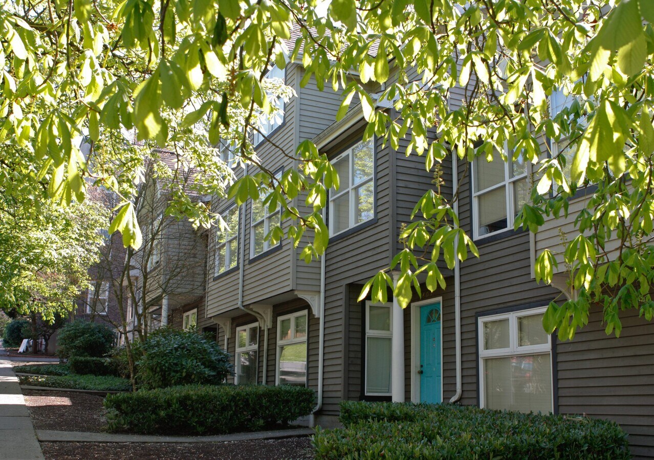 Pardee Townhomes - Pardee Townhomes