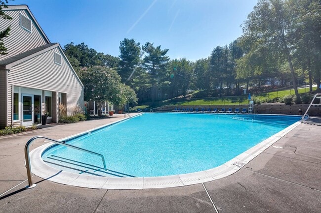 Olympic-sized Swimming Pool