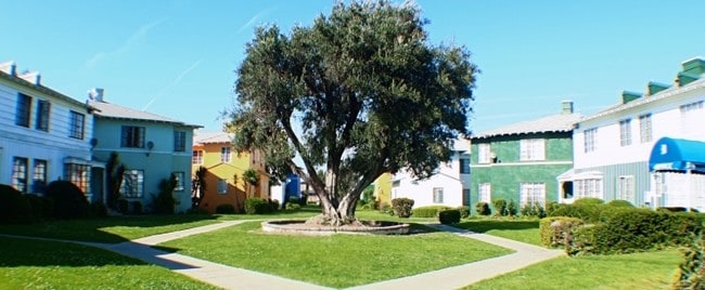 Primary Photo