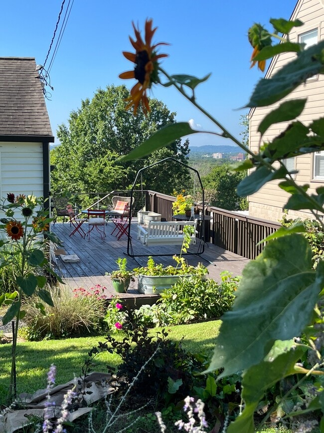 Photo - 3803 Lookout Dr