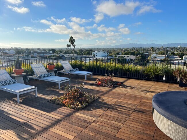 Hive Venice