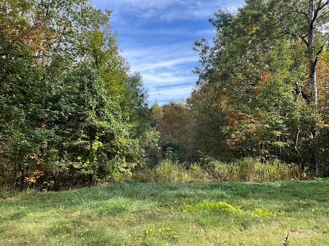 Photo - 310 Chapman Rd