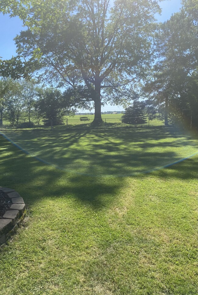 Back yard - 2639 Debbie Dr