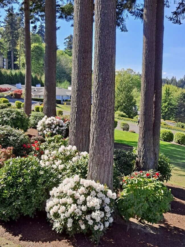 Photo - 2-Bedroom Condo Near Downtown Gig Harbor w...