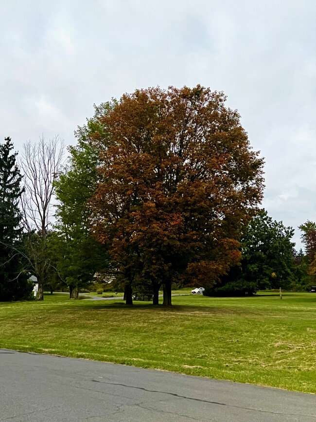 Beautiful grounds ! - 1049 Danby Rd Casa Adosada