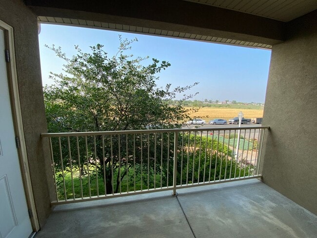 Photo - FULLY RENOVATED 2BD/ 2BA in Westminster, C...