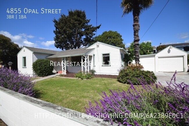 Jewel Box 3 bed / 1 bath just steps away t... - Jewel Box 3 bed / 1 bath just steps away t... House