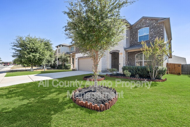 Photo - 14910 Cave Swallow