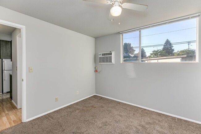 Photo - Dolphin Apartments