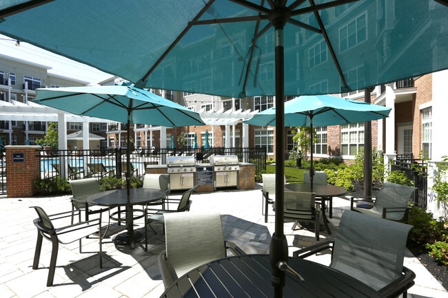 Grilling & Patio Area