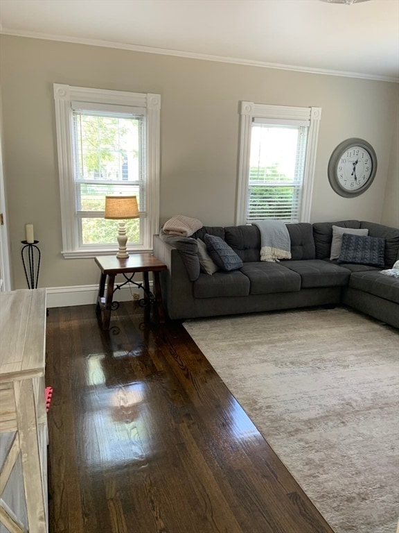 Photo - 80 Trafford St