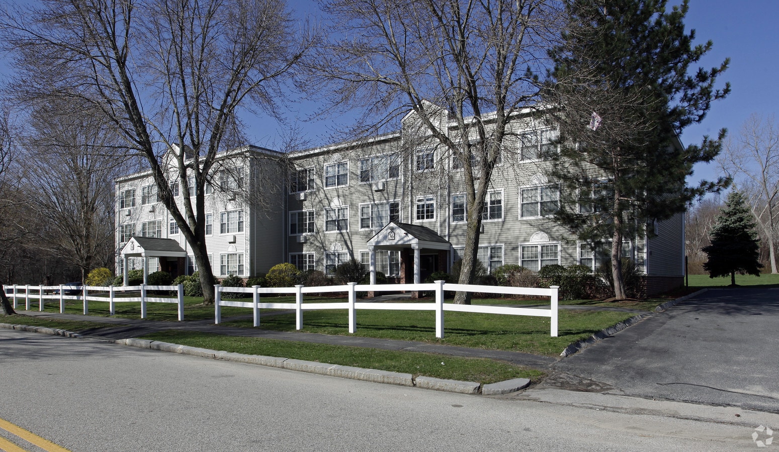 Photo - Autumn Woods