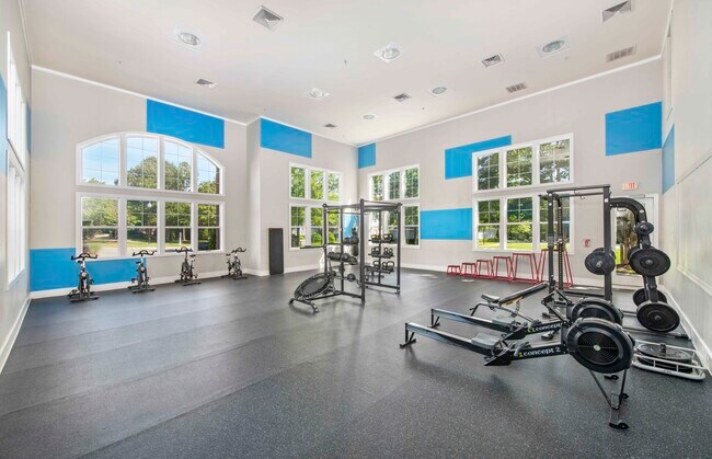 Photo - MAA Brier Falls