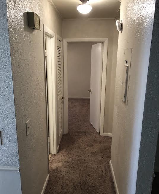 Photo - Coming Soon! 2BR Duplex with Screened Patio in the Murray Hill