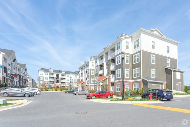 Photo - The Elms at Shannon's Glen