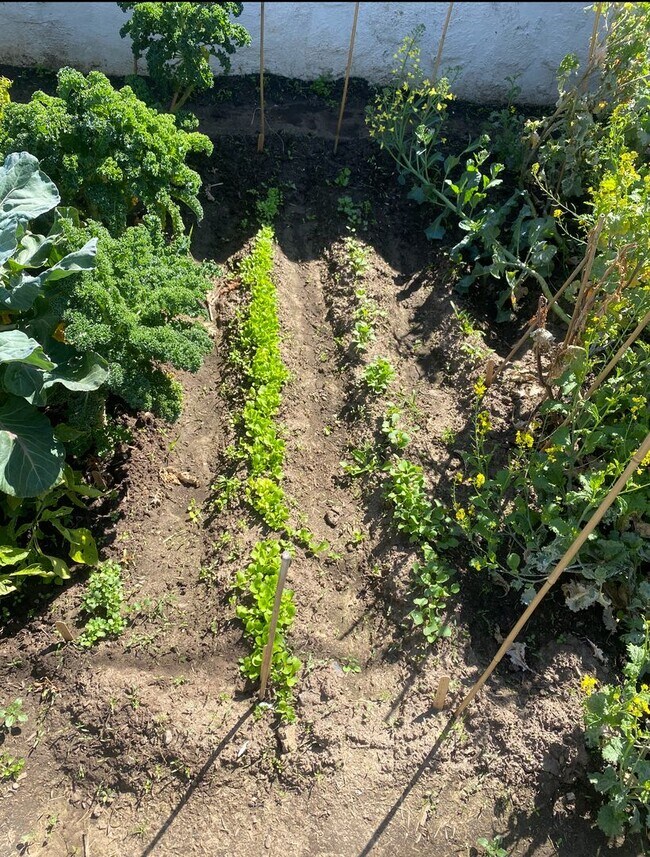 Photo - Luxury Meets Convenience House