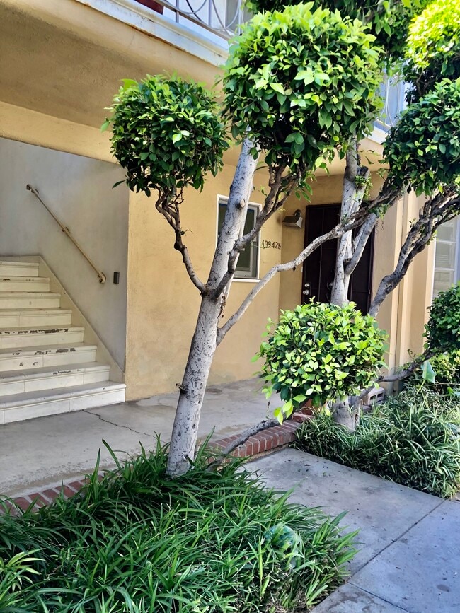 Photo - 10942 Moorpark St Unidad 1