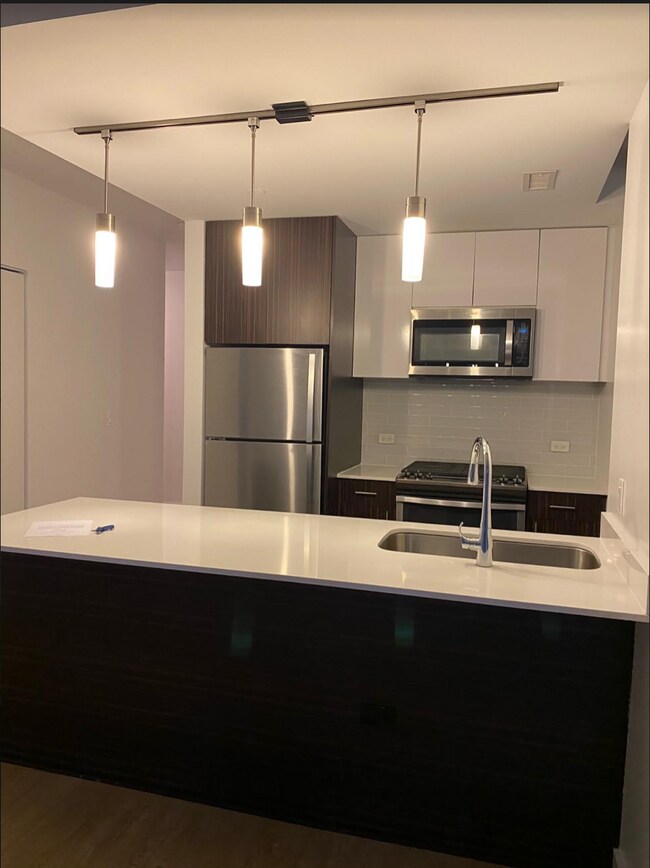 230 N Michigan Ave Unit 1110