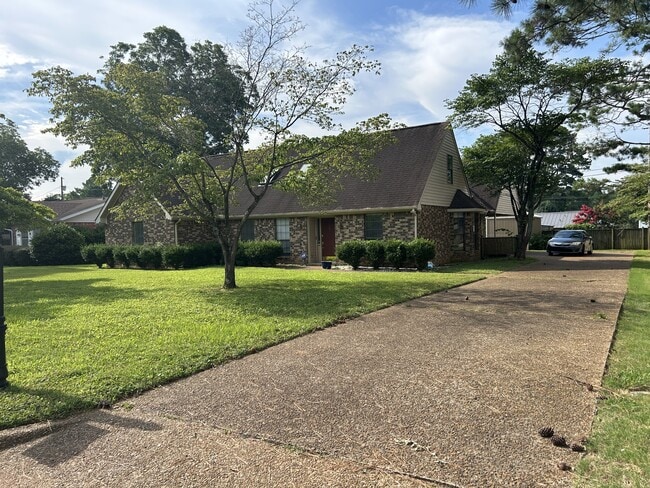 Photo - 261 Mcgough Blvd