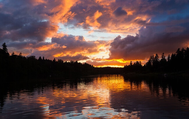 Photo - 1645 SE Oak Shore Ln