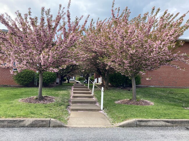 The Nestings on Ridge - The Nestings on Ridge Apartments