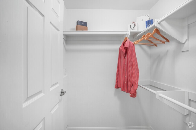 1BR, 1BA - 792SF - Walk-in Closet