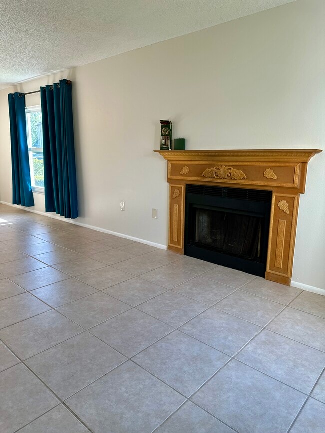 Fireplace - 3455 Countryside Blvd Unit 15