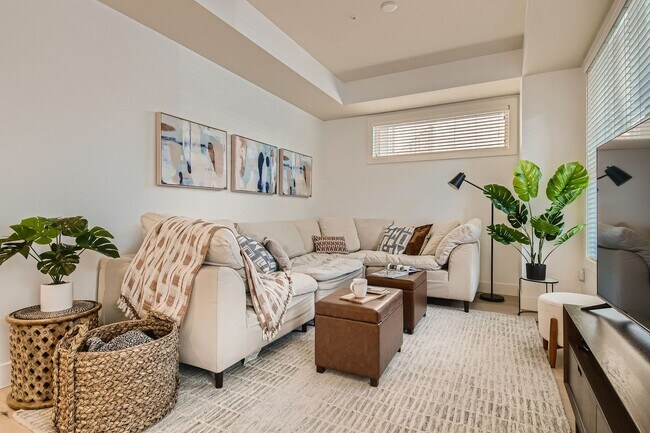 Photo - Modern 1 BDR in Peloton - Ground Floor