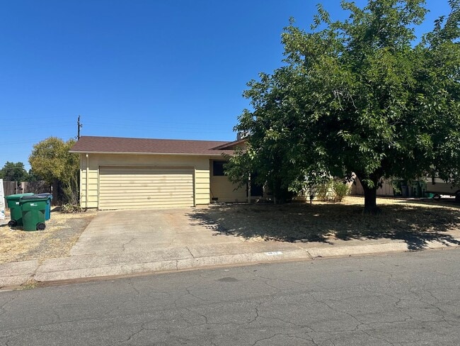 Building Photo - New LVP & Carpet! Great Anderson location! Rental
