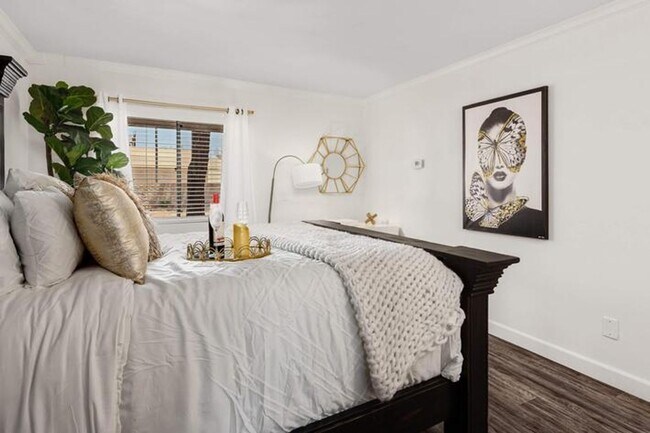 Photo - The Molino Apartments