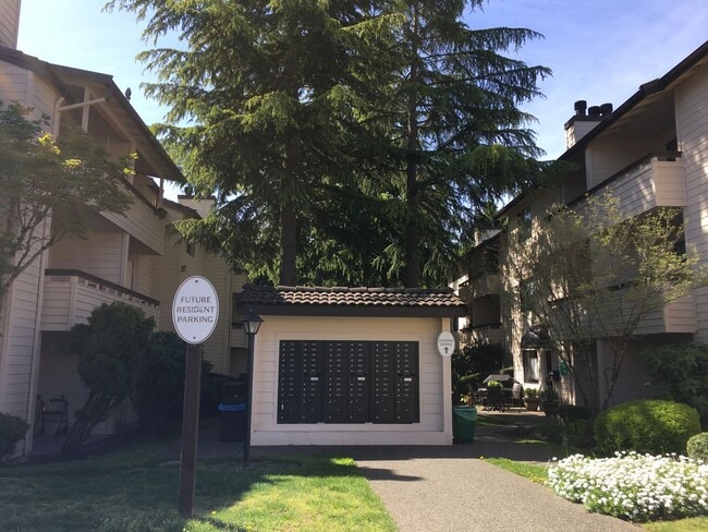 Photo - Jackson Greens