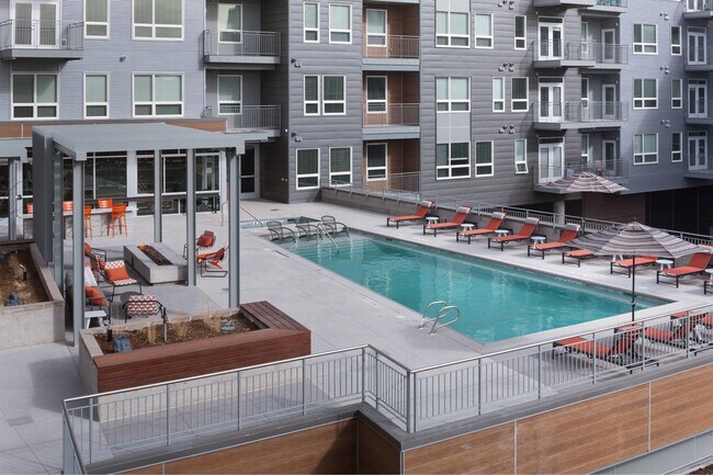 Photo - Emery West Highland