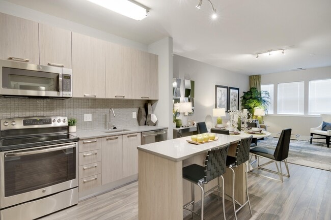 Photo - Contempo NOVA