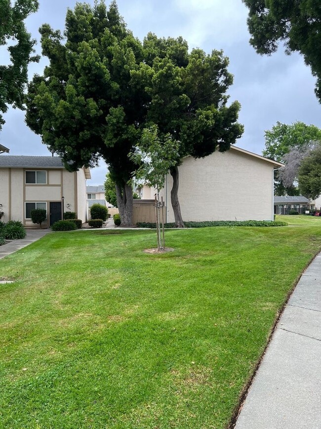 Photo - Now Leasing: Beautifully Renovated 3-Bedroom Home in Fremont, CA