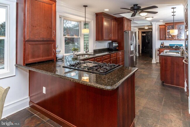 Photo - 24 Camelia Ct