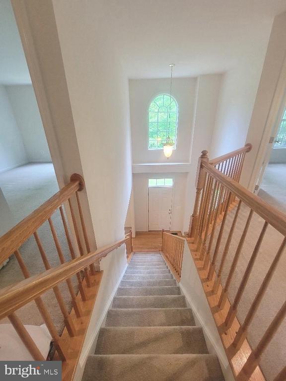 Photo - 440 Reedy Creek Rd