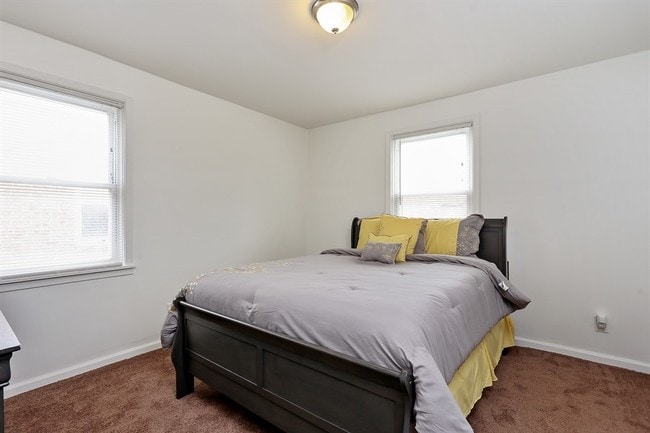 Photo - Pangea Springs