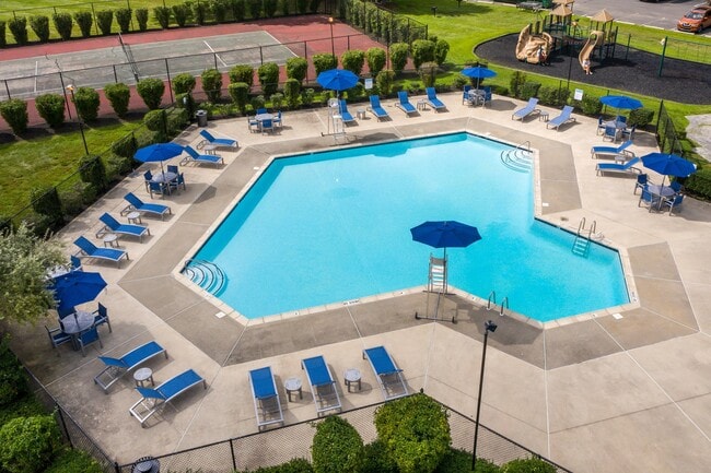 Resort Style Pool