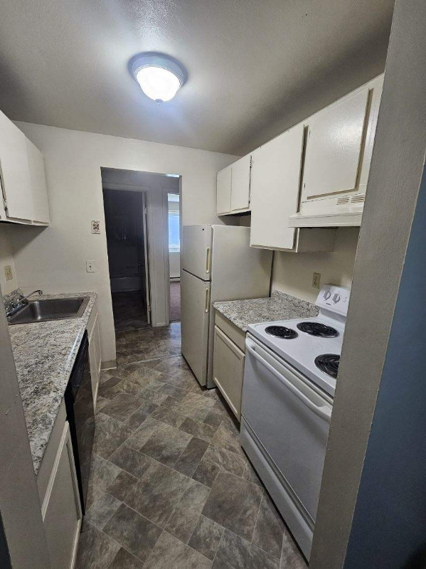 Building Photo - 4101 Pine Hollow Dr Rental