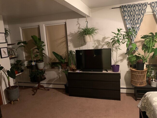 Dormitorio - 4319 Tesla St Unidad 2