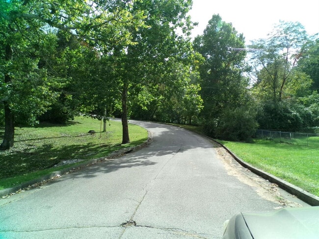 Photo - 244 Meadowview Dr