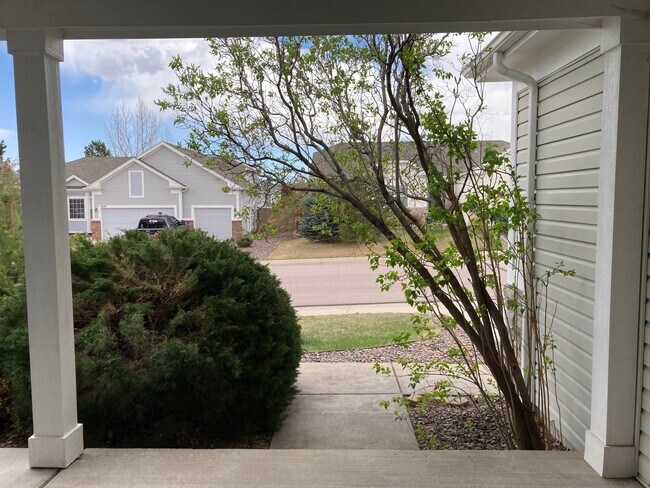 Photo - 3686 Buffalo Grass Ln