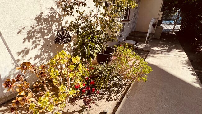 Photo - 4949 Coldwater Canyon Ave Unit 1