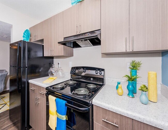 Photo - Osprey Landing