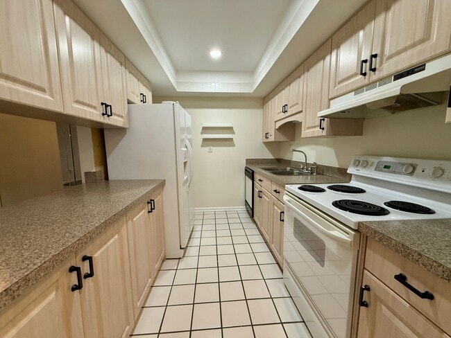 Photo - NORTH ST. PETE - locaiton location 2/2