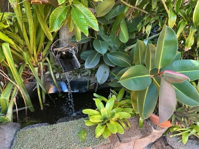 Photo - 4433 Sierra Dr Unidad Garage,Pond, Tropical Living Room