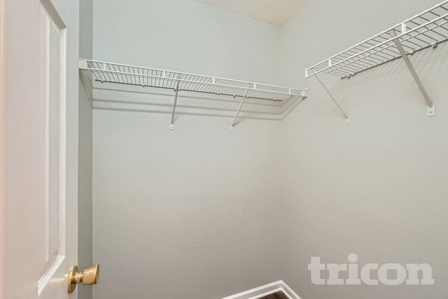 Photo - 11626 Lioness St